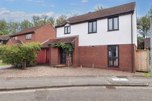 AVOCET CLOSE- click for photo gallery